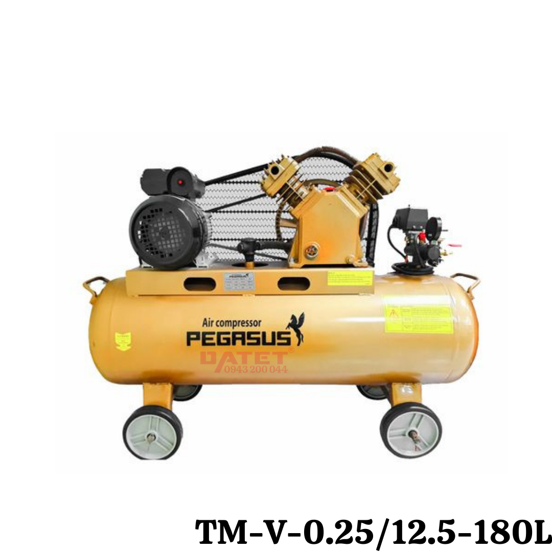 Máy nén khí dây đai Pegasus TM-V-0.25/12.5-180L