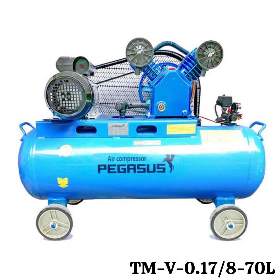 Máy nén khí dây đai Pegasus TM-V-0.17/8-70L