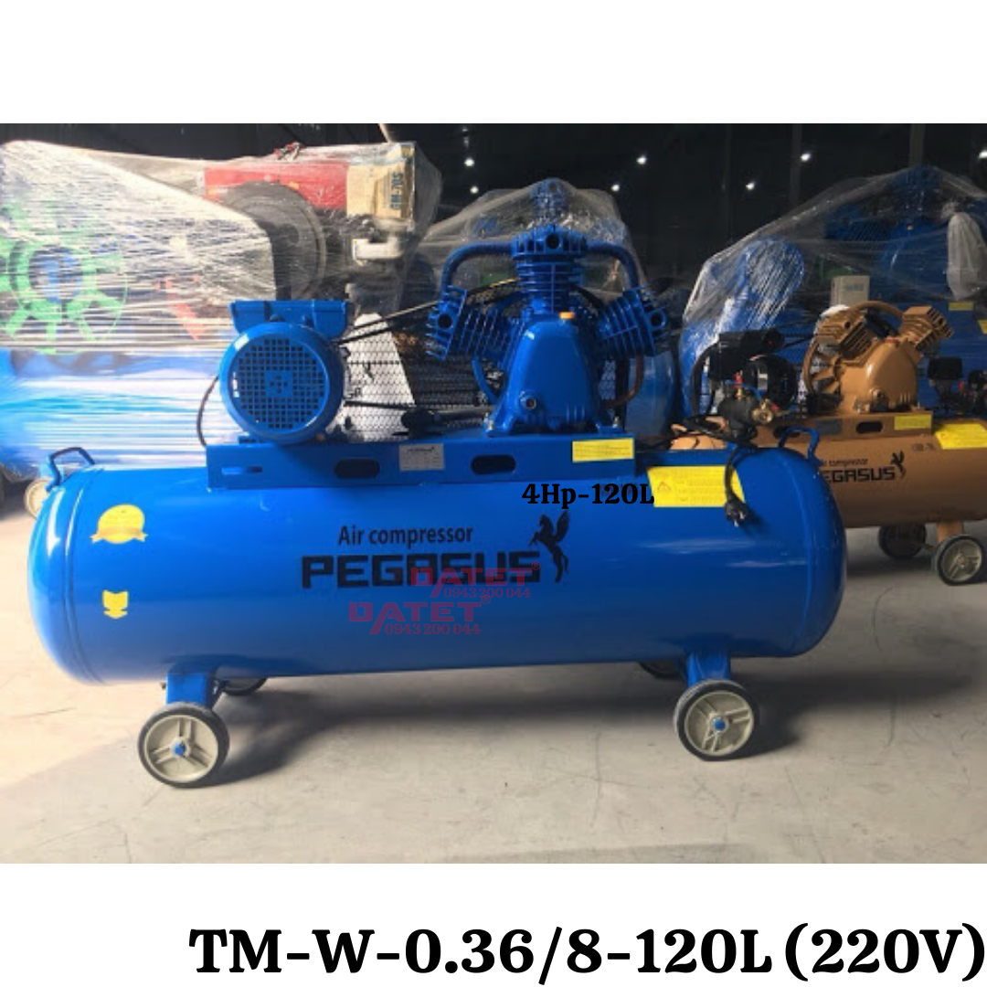Máy nén khí dây đai Pegasus TM-W-0.36/8-120L (220V)