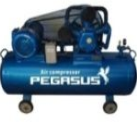 MÁY NÉN KHÍ DÂY ĐAI PEGASUS 